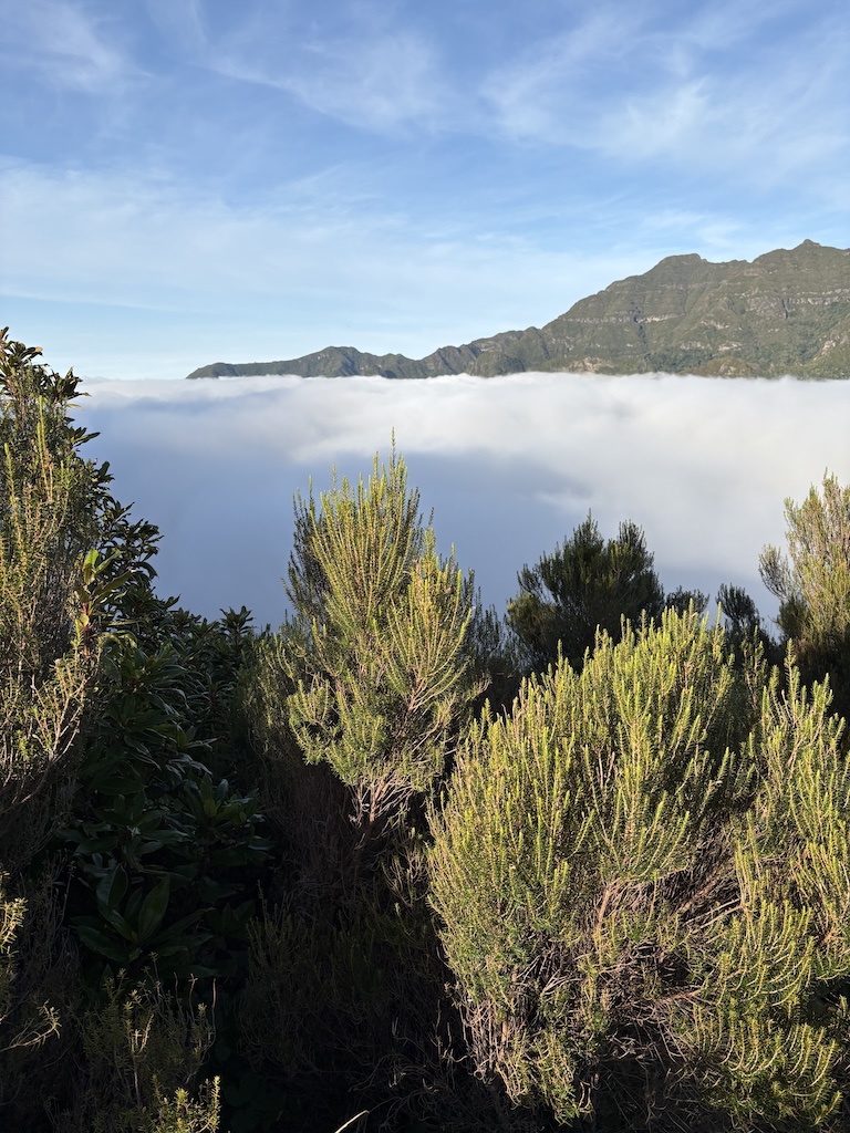 Dimmiga bergstoppar på Madeira
