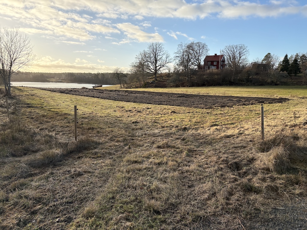Nyplogad mark vid Mörtviks Vingård