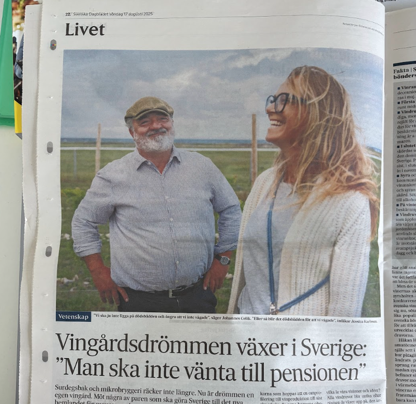 Artikel i Svenska Dagbladet om att starta vingård i Sverige