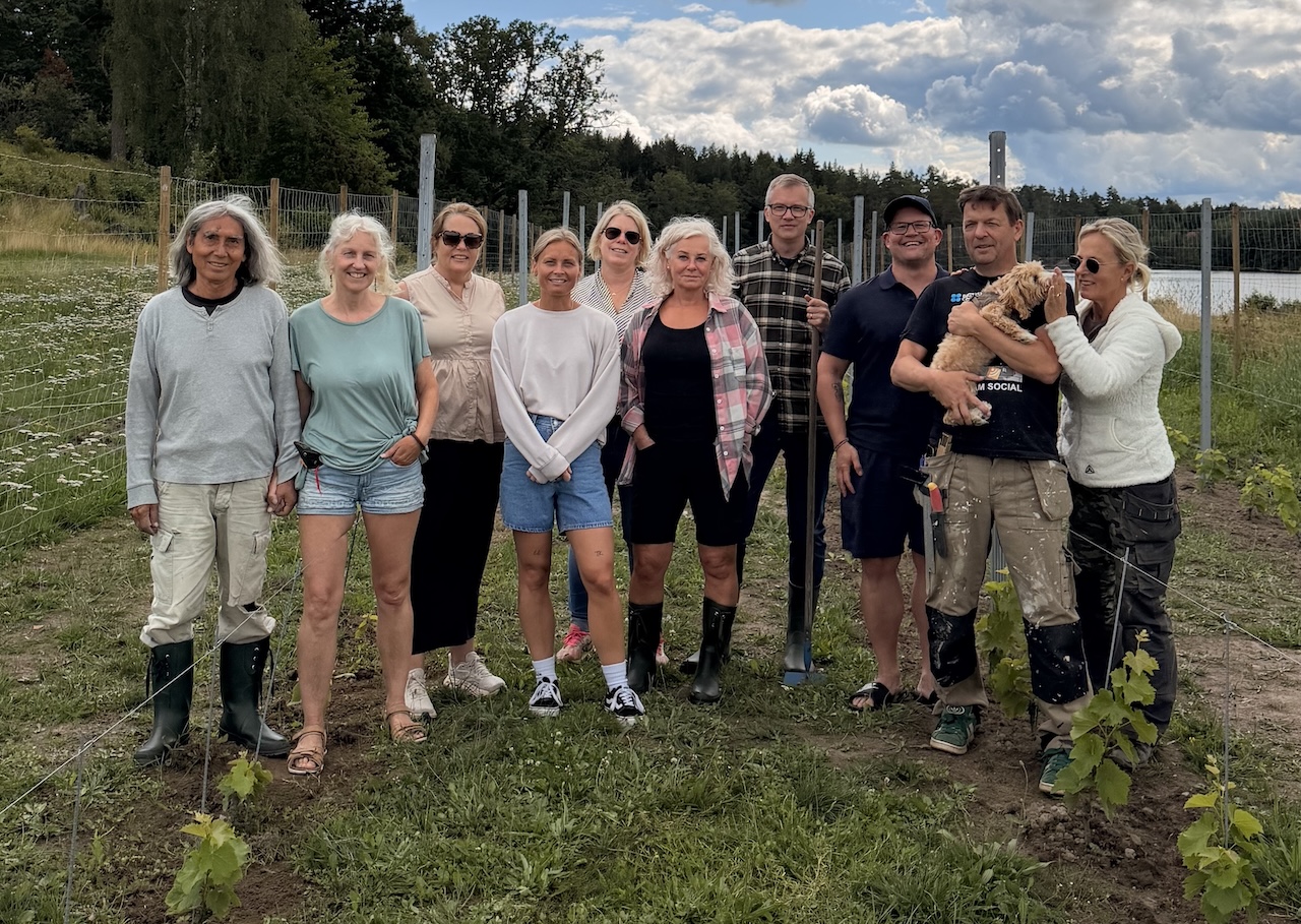 M&ouml;rtviks Ving&aring;rd